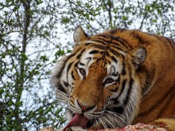 Tiergarten Schönbrunn am 23.03.2023